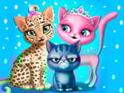 Cat Hair Salon